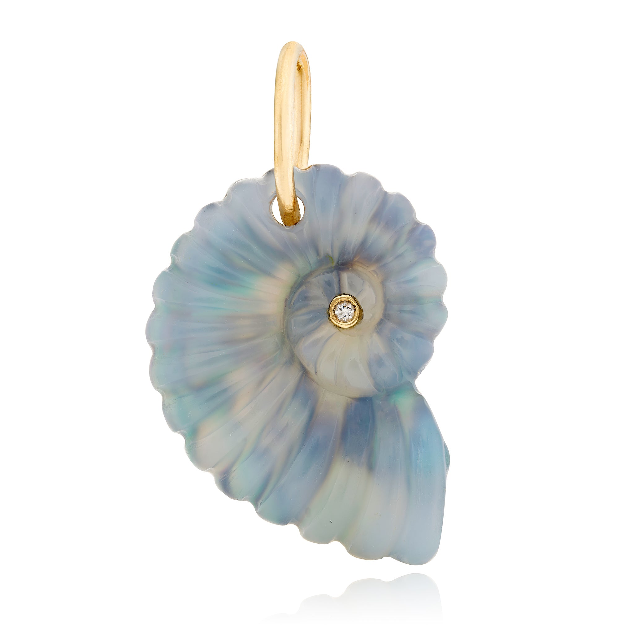 14KY Small Luminescent Ammonite