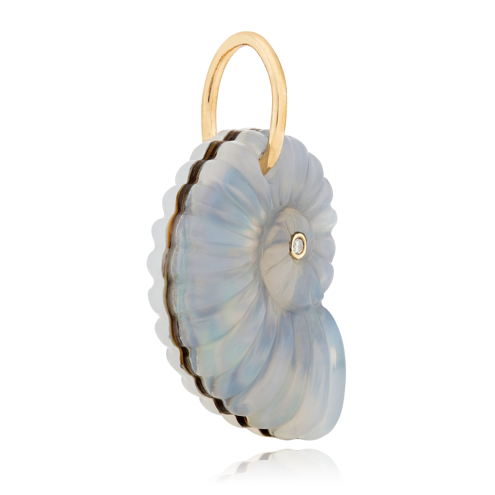 14KY Small Luminescent Ammonite