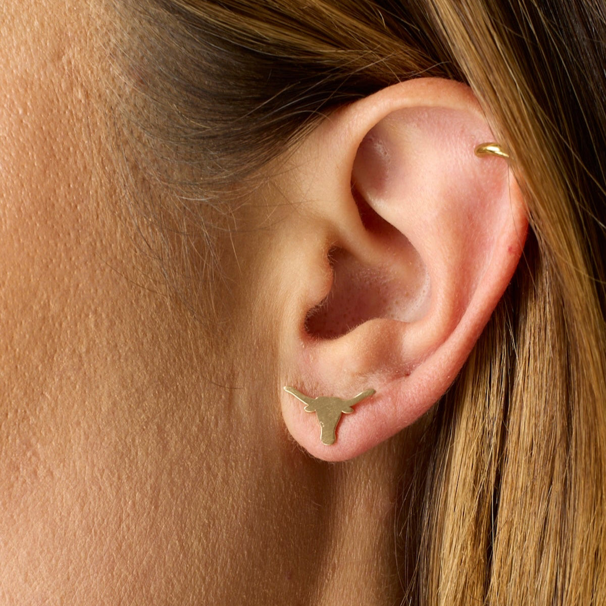 14KY Longhorn Gold Studs